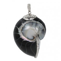 Black Shell Pendant, Sterling Silver